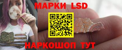 молекула духа Донецк