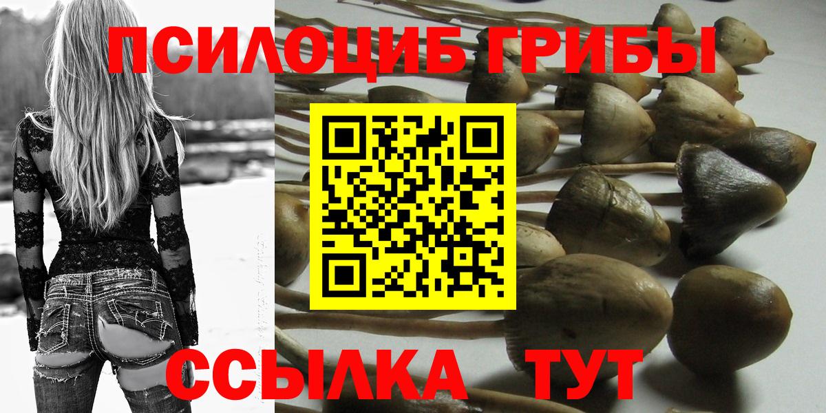 Псилоцибиновые грибы мицелий  Псилоцибиновые грибы Psilocybine cubensis  Мирный  Вход с VPN 