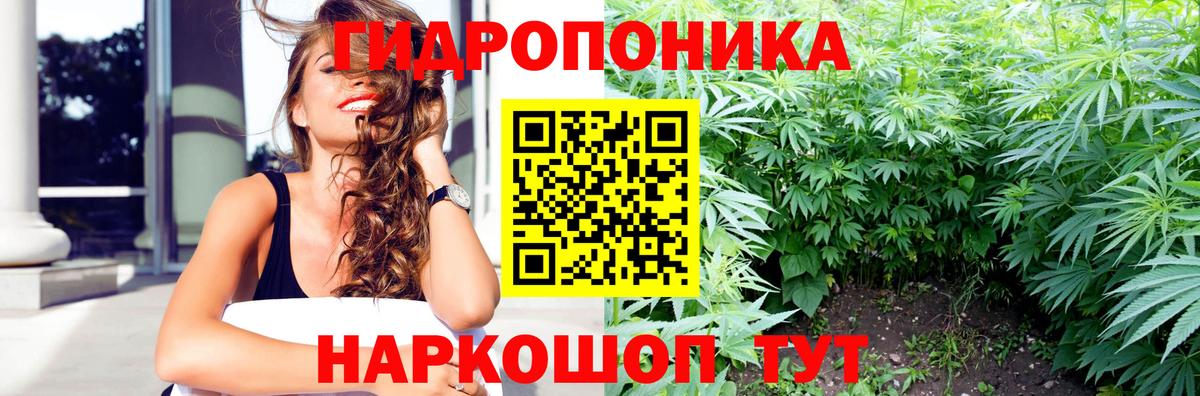 Марихуана план  Вход с VPN  Мирный  Бошки Шишки Amnesia  Марихуана Bruce Banner 